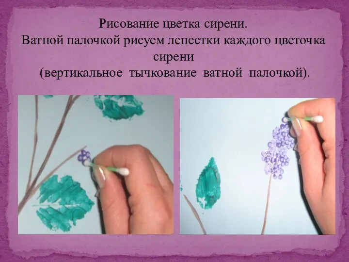 Рисование цветка сирени. Ватной палочкой рисуем лепестки каждого цветочка сирени (вертикальное тычкование ватной палочкой).