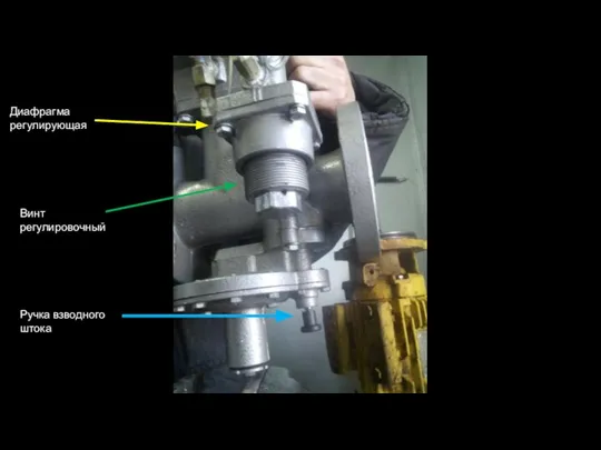 Диафрагма регулирующая Винт регулировочный Ручка взводного штока