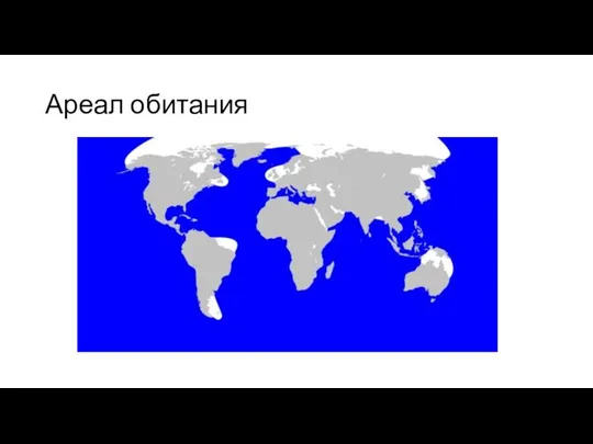 Ареал обитания