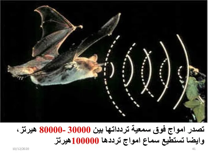 10/12/2020 تصدر امواج فوق سمعية تردداتها بين 30000 -80000 هيرتز، وايضا تستطيع سماع امواج ترددها 100000هيرتز