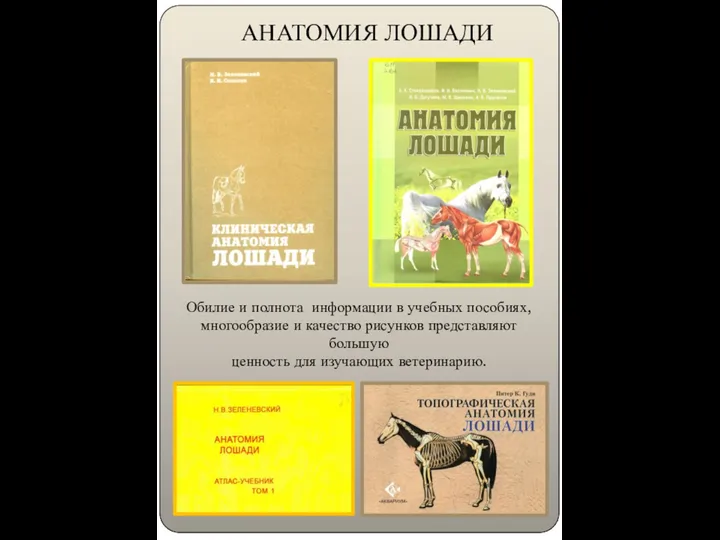 АНАТОМИЯ ЛОШАДИ Обилие и полнота информации в учебных пособиях, многообразие и качество