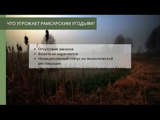 ЧТО УГРОЖАЕТ РАМСАРСКИМ УГОДЬЯМ? Отсутствие законов Болота не охраняются Незакрепленный статус их