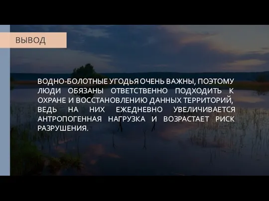 ВОДНО-БОЛОТНЫЕ УГОДЬЯ ОЧЕНЬ ВАЖНЫ, ПОЭТОМУ ЛЮДИ ОБЯЗАНЫ ОТВЕТСТВЕННО ПОДХОДИТЬ К ОХРАНЕ И