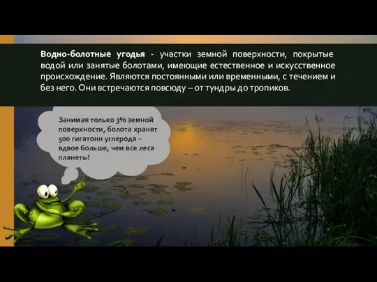 Водно-болотные угодья - участки земной поверхности, покрытые водой или занятые болотами, имеющие