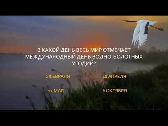 В КАКОЙ ДЕНЬ ВЕСЬ МИР ОТМЕЧАЕТ МЕЖДУНАРОДНЫЙ ДЕНЬ ВОДНО-БОЛОТНЫХ УГОДИЙ? 22 МАЯ