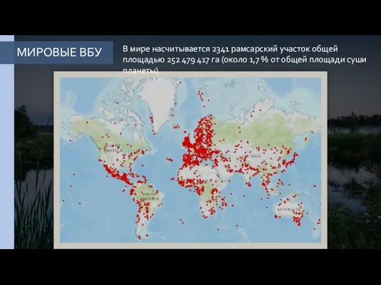 МИРОВЫЕ ВБУ В мире насчитывается 2341 рамсарский участок общей площадью 252 479