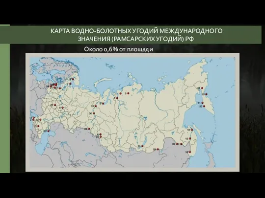 Около 0,6% от площади России КАРТА ВОДНО-БОЛОТНЫХ УГОДИЙ МЕЖДУНАРОДНОГО ЗНАЧЕНИЯ (РАМСАРСКИХ УГОДИЙ) РФ