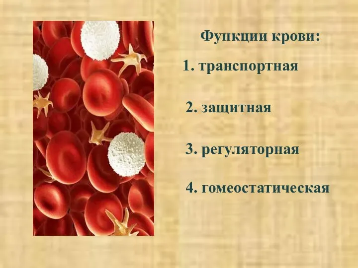 Функции крови: 1. транспортная 2. защитная 3. регуляторная 4. гомеостатическая