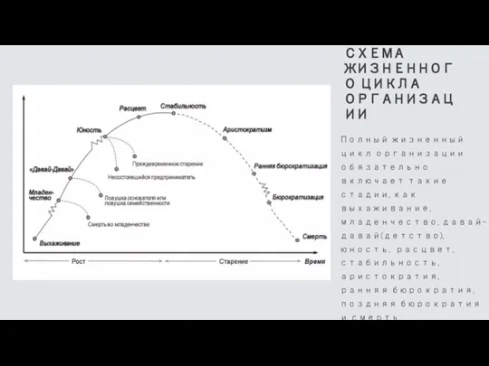 СХЕМА ЖИЗНЕННОГО ЦИКЛА ОРГАНИЗАЦИИ Полный жизненный цикл организации обязательно включает такие стадии,