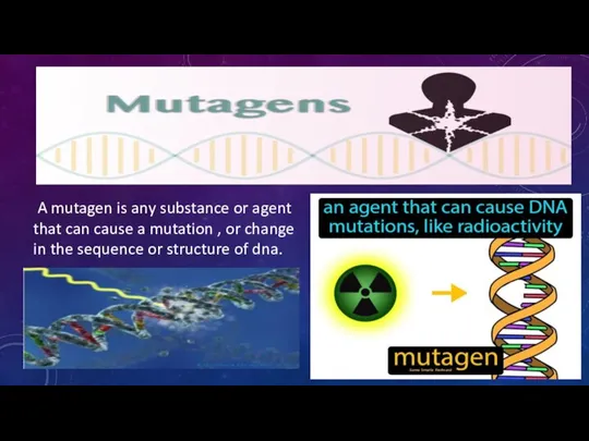 A mutagen is any substance or agent that can cause a mutation