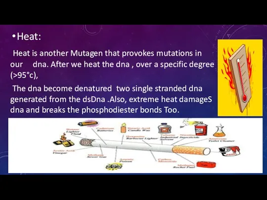 Heat: Heat is another Mutagen that provokes mutations in our dna. After
