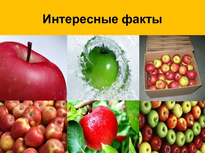 Интересные факты