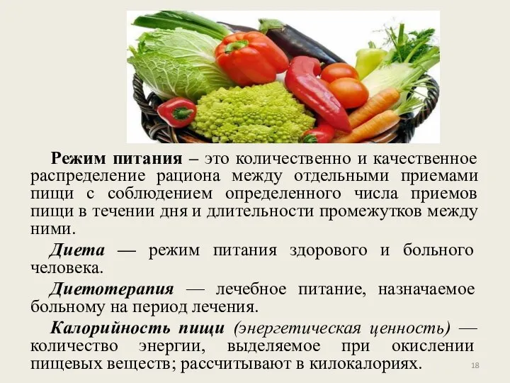 Режим питания – это количественно и качественное распределение рациона между отдельными приемами