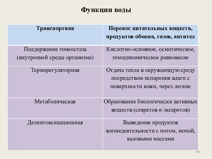 Функции воды