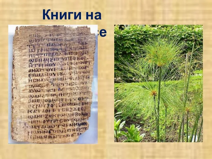 Книги на папирусе