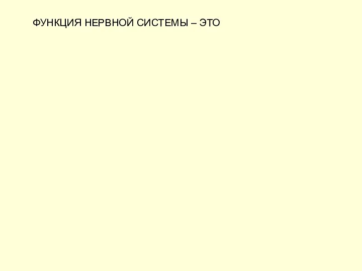 ФУНКЦИЯ НЕРВНОЙ СИСТЕМЫ – ЭТО