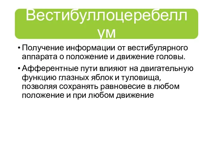 Получение информации от вестибулярного аппарата о положение и движение головы. Афферентные пути