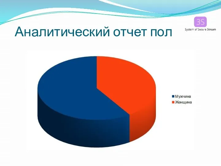 Аналитический отчет пол