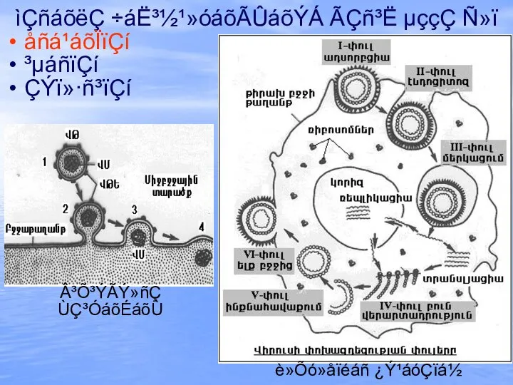 ìÇñáõëÇ ÷áË³½¹»óáõÃÛáõÝÁ ÃÇñ³Ë µççÇ Ñ»ï åñá¹áõÏïÇí ³µáñïÇí ÇÝï»·ñ³ïÇí è»Õó»åïéáñ ¿Ý¹áóÇïá½ Â³Õ³ÝÃÝ»ñÇ ÙÇ³ÓáõÉáõÙ