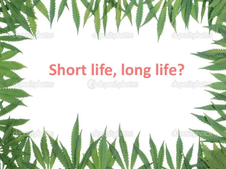 Short life, long life?
