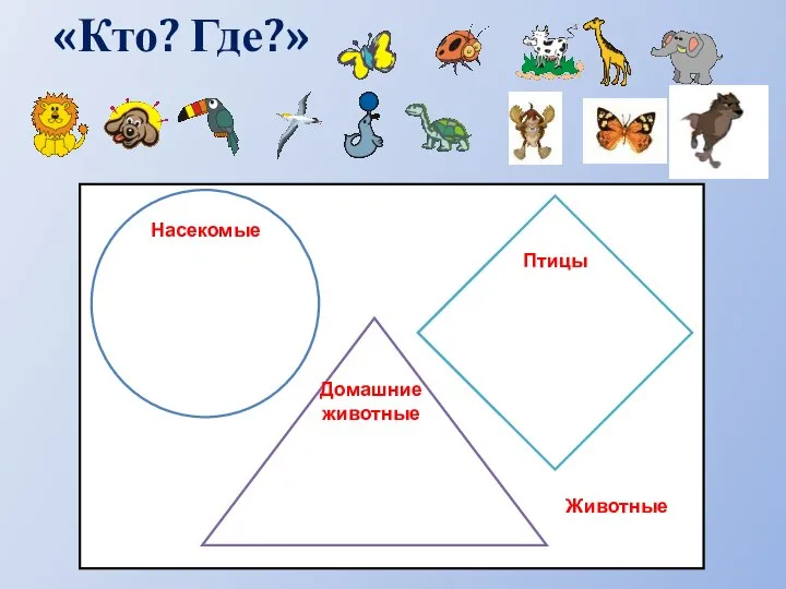 «Кто? Где?» Насекомые Птицы Домашние животные Животные