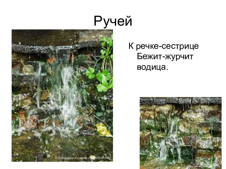 Ручей К речке-сестрице Бежит-журчит водица.