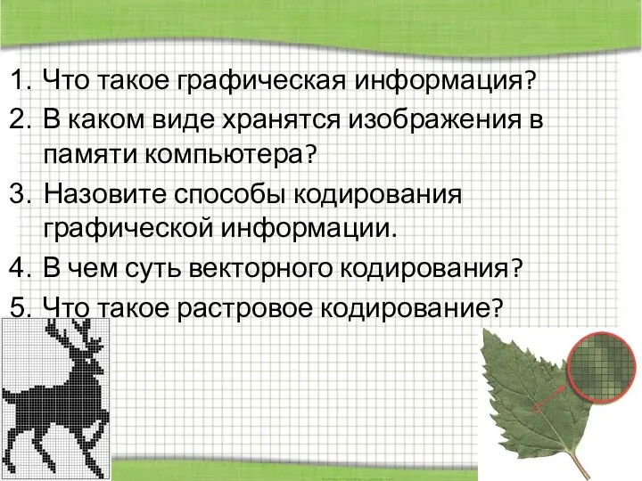 Что такое графическая информация? В каком виде хранятся изображения в памяти компьютера?