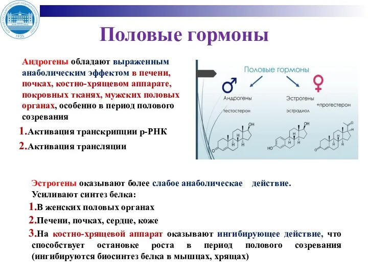 Половые гормоны Андрогены обладают выраженным анаболическим эффектом в печени, почках, костно-хрящевом аппарате,