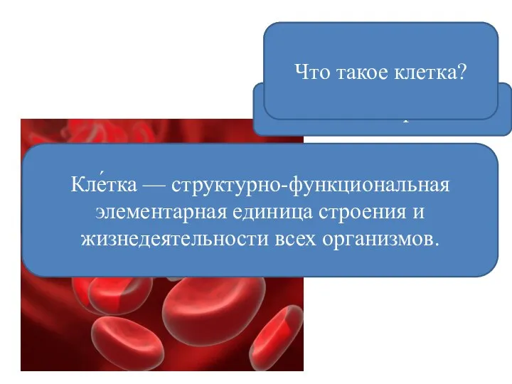 Какие клетки изображены на слайде? Клетки крови Что такое клетка? Кле́тка —