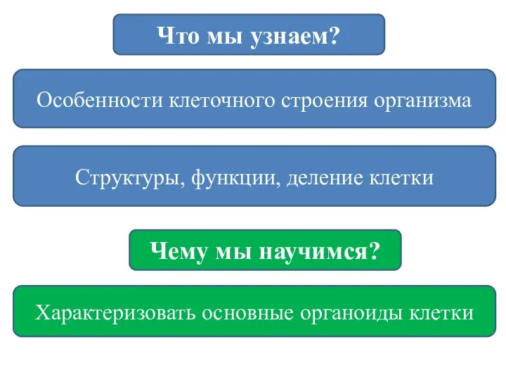 Особенности клеточного строения организма Что мы узнаем? Чему мы научимся? Характеризовать основные