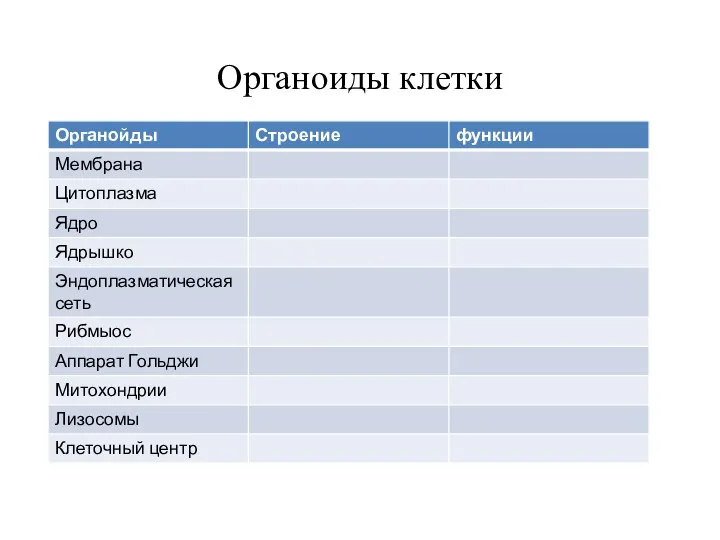 Органоиды клетки