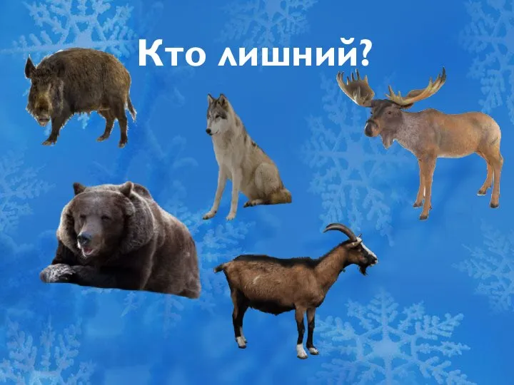 Кто лишний?