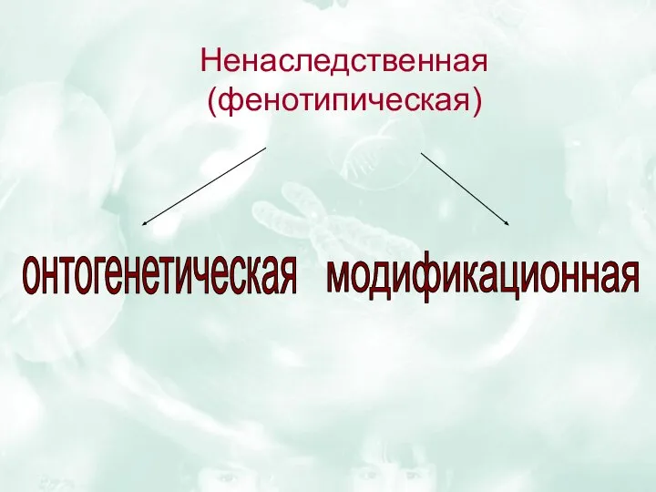 Ненаследственная (фенотипическая) онтогенетическая модификационная