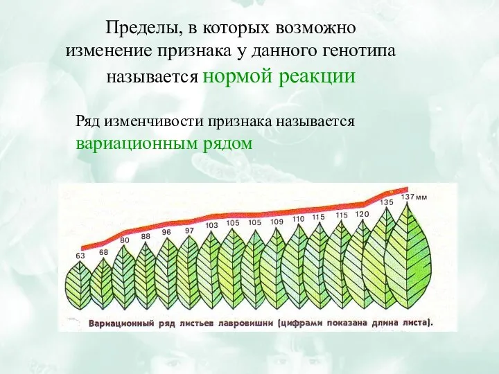 Пределы, в которых возможно изменение признака у данного генотипа называется нормой реакции