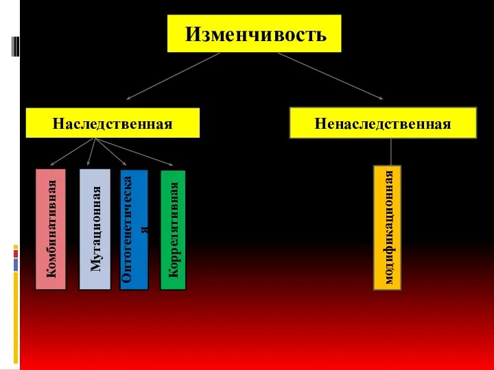 Изменчивость Изменчивость Наследственная Ненаследственная Комбинативная Мутационная Онтогенетическая Коррелятивная модификационная