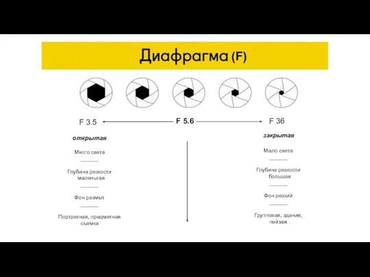 F 5.6 F 3.5 F 36 открытая закрытая Много света ______ Глубина