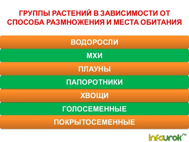 ГРУППЫ РАСТЕНИЙ В ЗАВИСИМОСТИ ОТ СПОСОБА РАЗМНОЖЕНИЯ И МЕСТА ОБИТАНИЯ ВОДОРОСЛИ МХИ