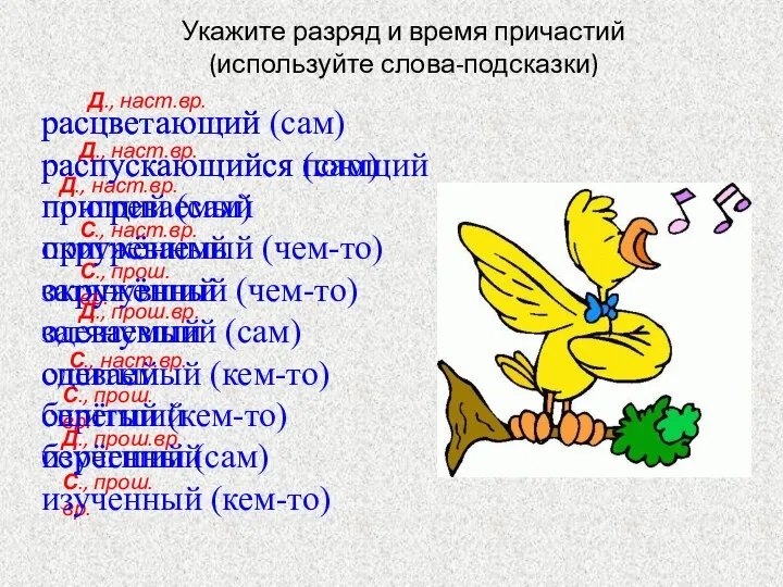 Укажите разряд и время причастий (используйте слова-подсказки) расцветающий распускающийся поющий пригреваемый окружённый