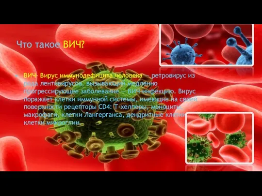 Что такое ВИЧ? ВИЧ- Вирус иммунодефицита человека — ретровирус из рода лентивирусов,