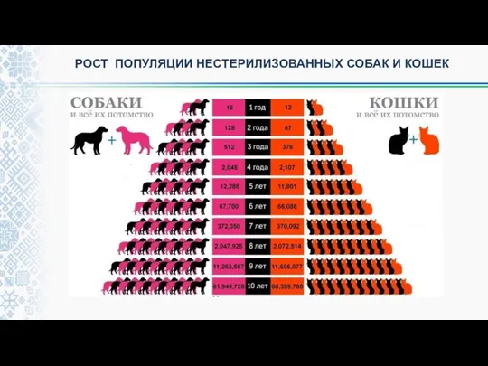 РОСТ ПОПУЛЯЦИИ НЕСТЕРИЛИЗОВАННЫХ СОБАК И КОШЕК