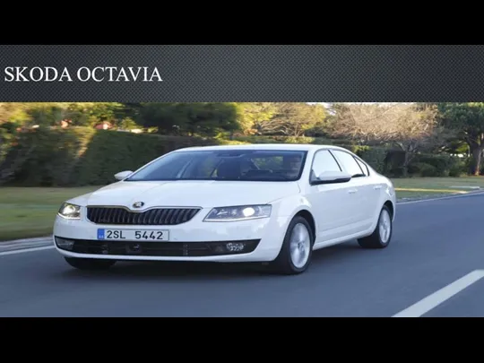 SKODA OCTAVIA