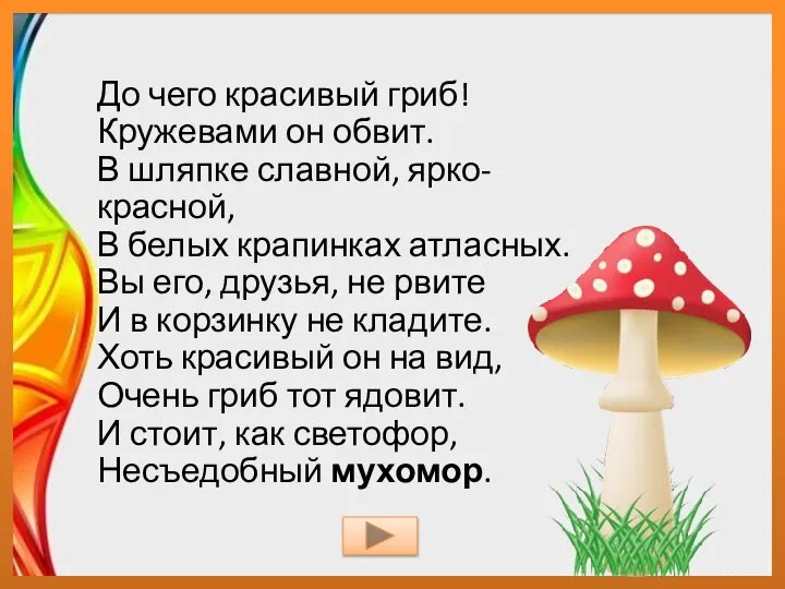 До чего красивый гриб! Кружевами он обвит. В шляпке славной, ярко-красной, В