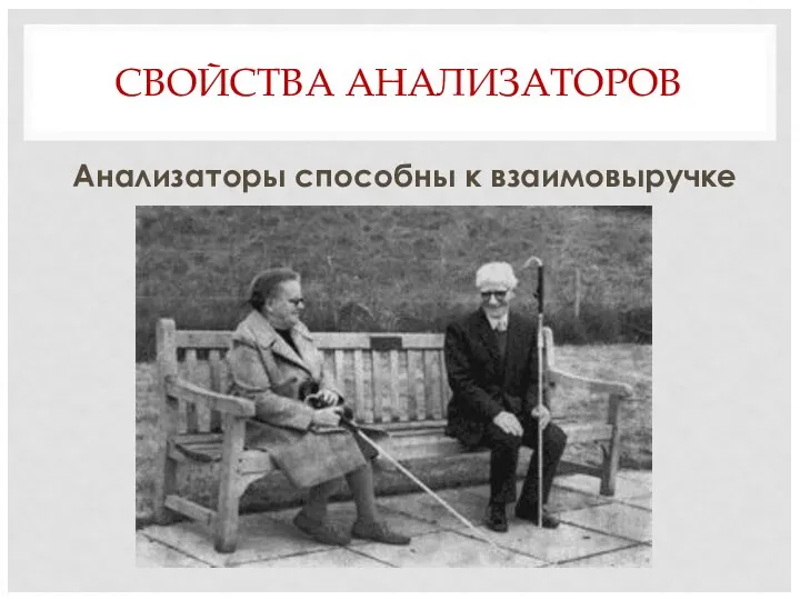 СВОЙСТВА АНАЛИЗАТОРОВ Анализаторы способны к взаимовыручке