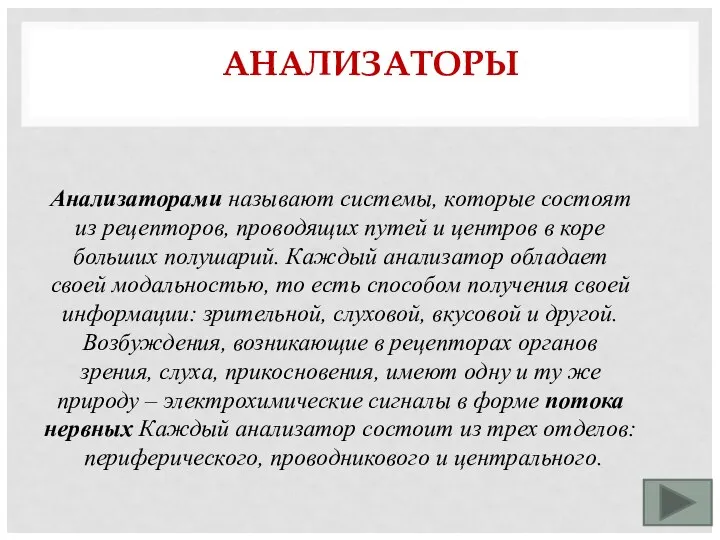 АНАЛИЗАТОРЫ Анализаторами называют системы, которые состоят из рецепторов, проводящих путей и центров