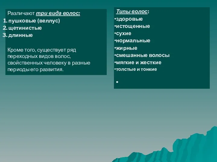 Типы волос: здоровые истощенные сухие нормальные жирные смешанные волосы мягкие и жесткие