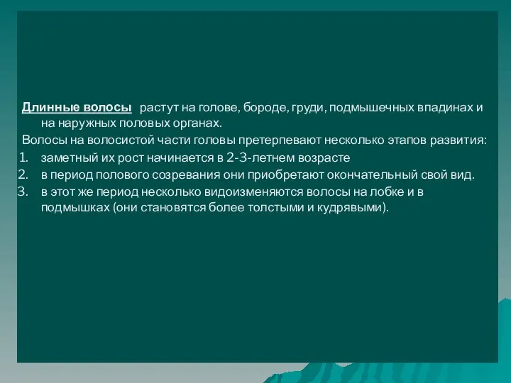 Длинные волосы растут на голове, бороде, груди, подмышечных впадинах и на наружных