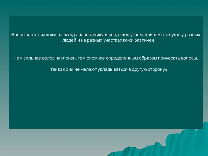 Волос растет из кожи не всегда перпендикулярно, а под углом, причем этот