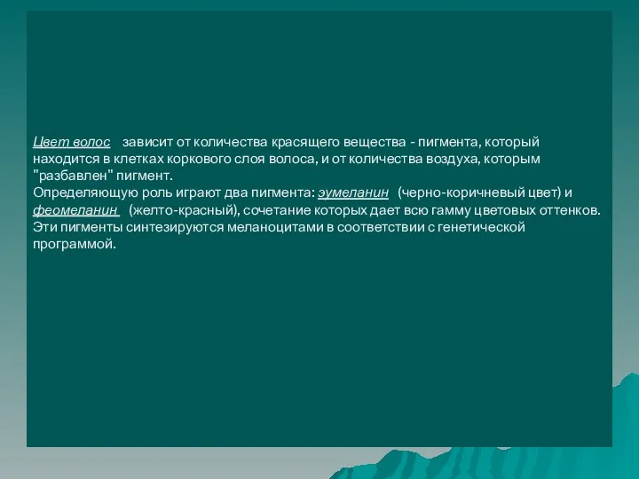 Цвет волос зависит от количества красящего вещества - пигмента, который находится в