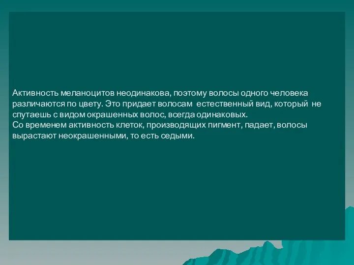 Активность меланоцитов неодинакова, поэтому волосы одного человека различаются по цвету. Это придает