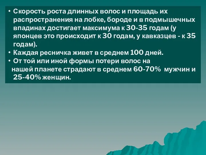 Скорость роста длинных волос и площадь их распространения на лобке, бороде и